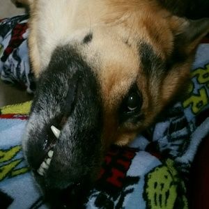 Meet your Posher, Terra